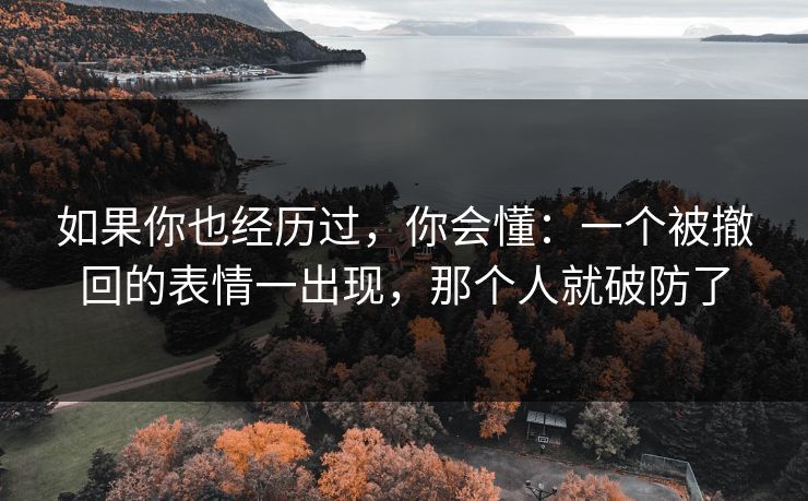 如果你也经历过，你会懂：一个被撤回的表情一出现，那个人就破防了