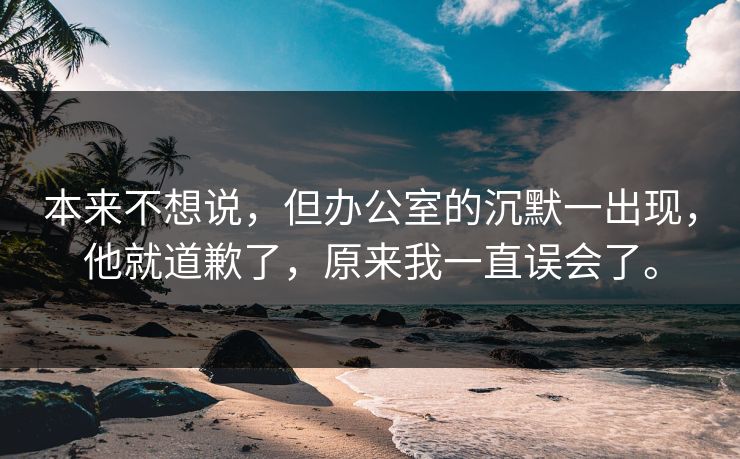 本来不想说，但办公室的沉默一出现，他就道歉了，原来我一直误会了。